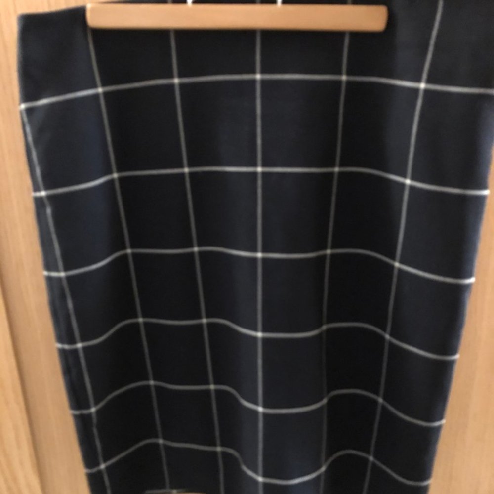 Ann Taylor Skirt